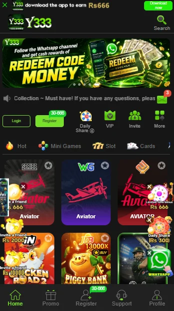 Y333 Game