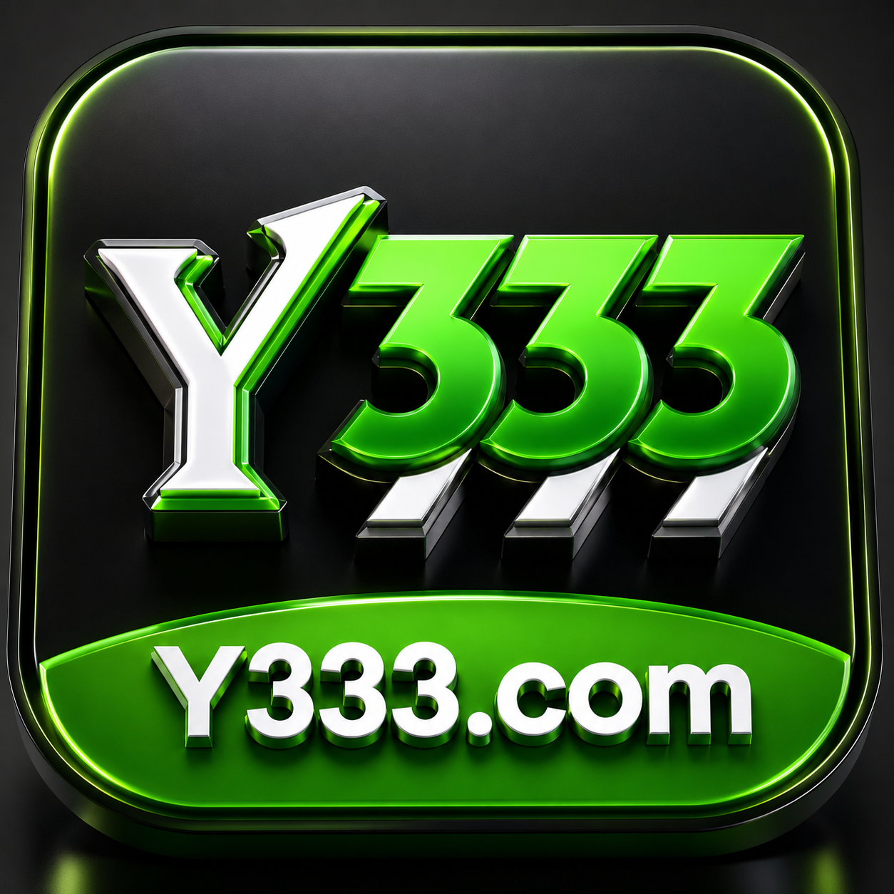 Y333 Game